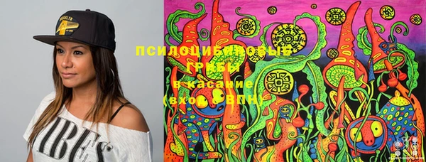 дживик Белоозёрский