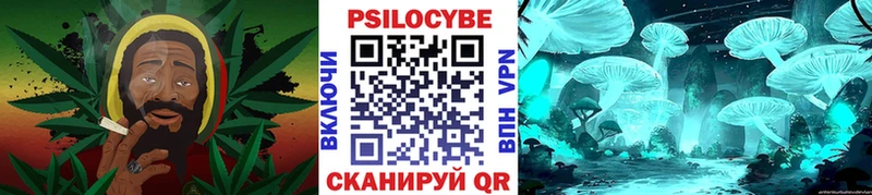 Псилоцибиновые грибы Cubensis  Надым 
